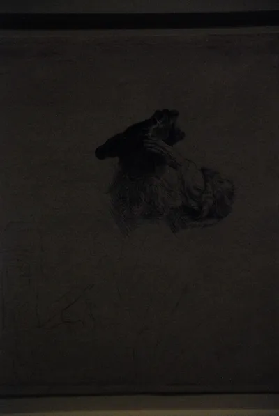 DSC_0094 (Large).JPG